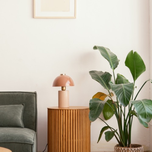 a living room with plants table and couch