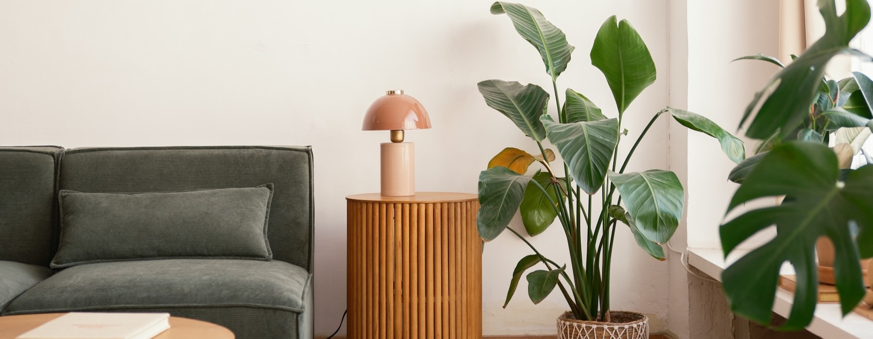 a living room with plants table and couch