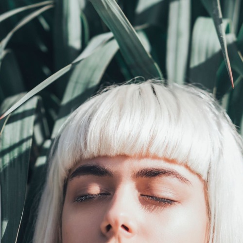 a person sitting in front of a plant