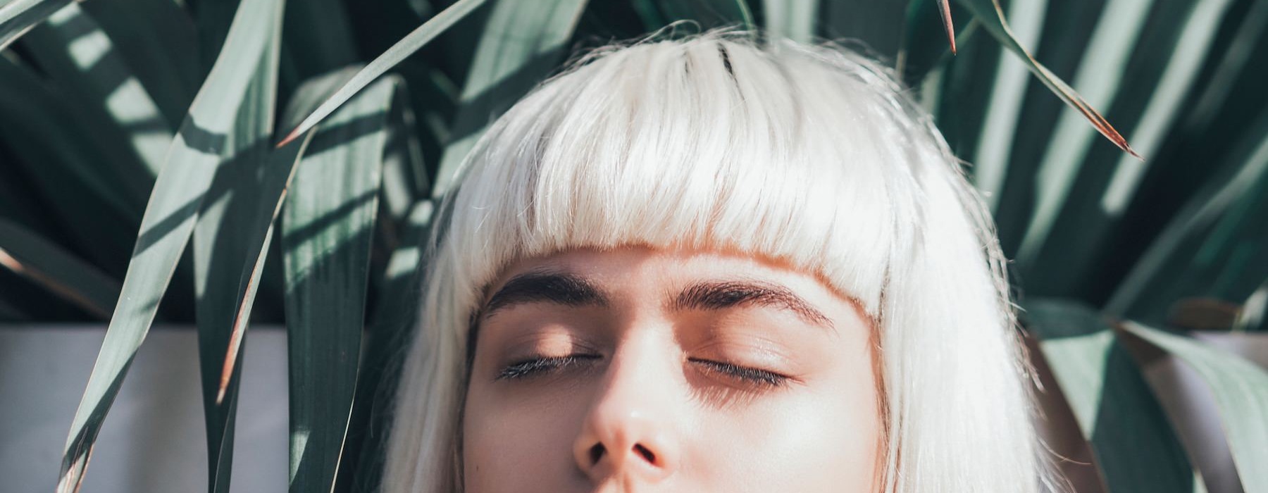 a person sitting in front of a plant